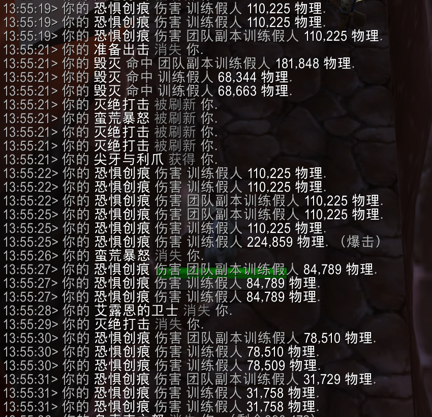 魔兽世界11.2熊T套装效果一览