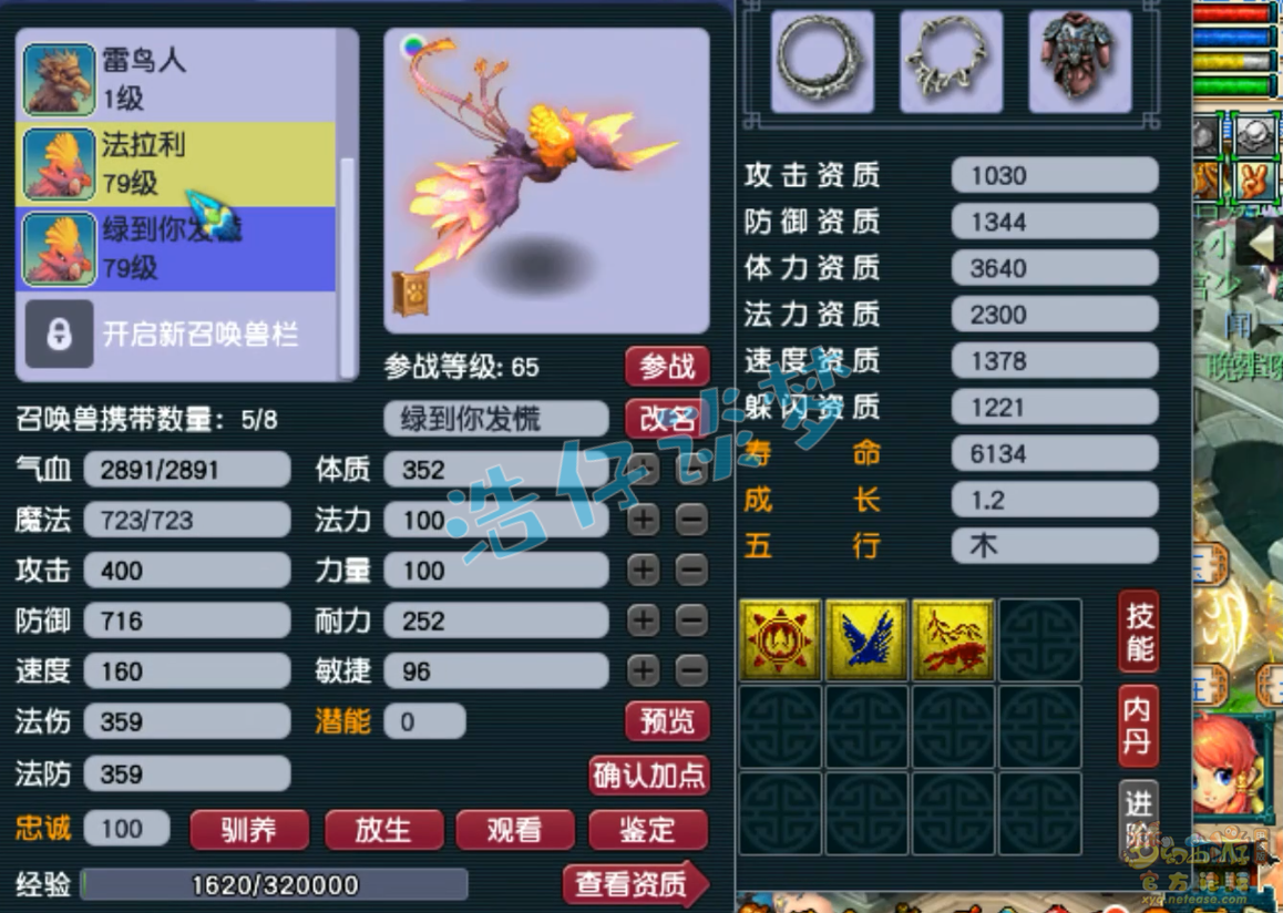 梦幻西游69级任务九黎城装备展示图