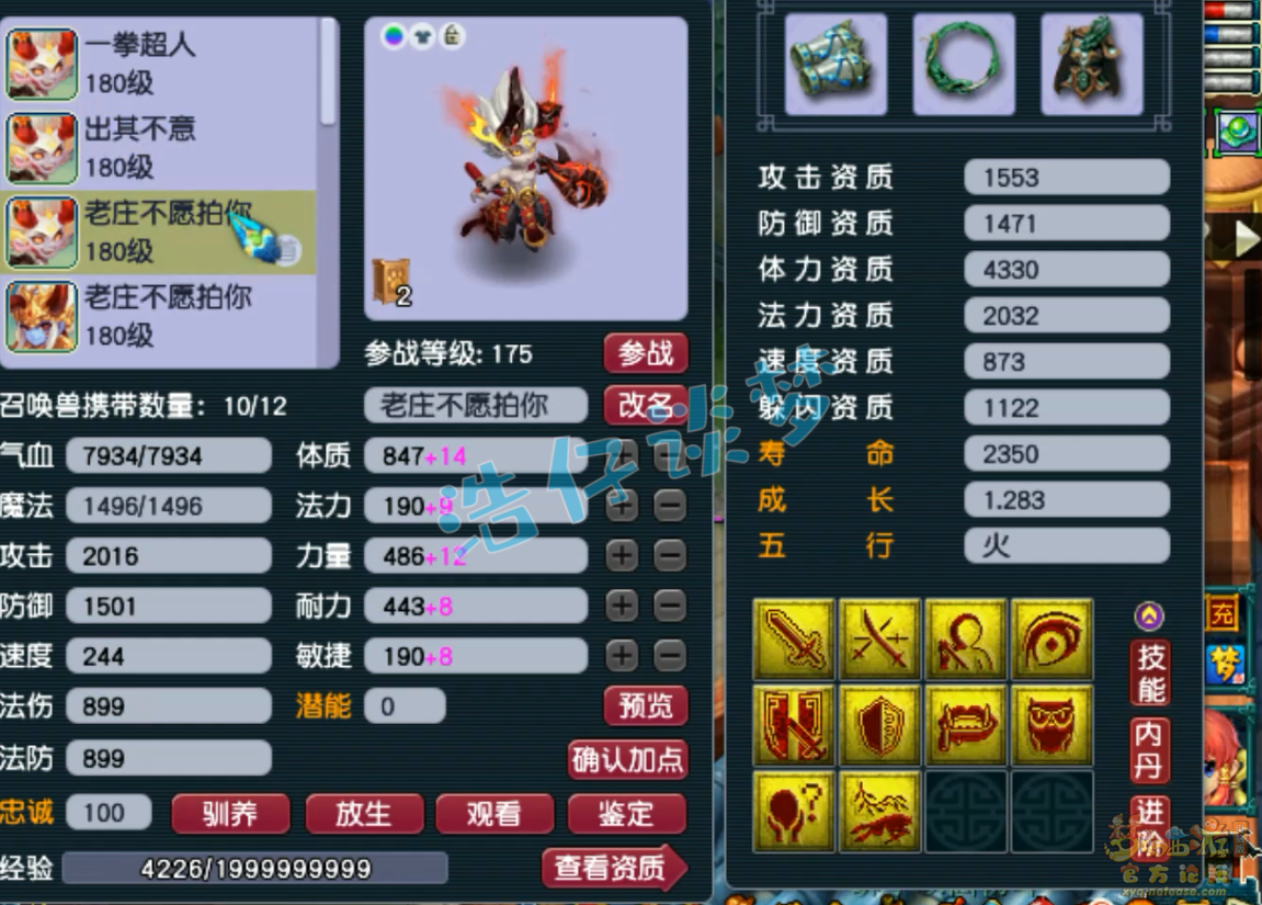 梦幻西游175级咒师普陀山装备展示图