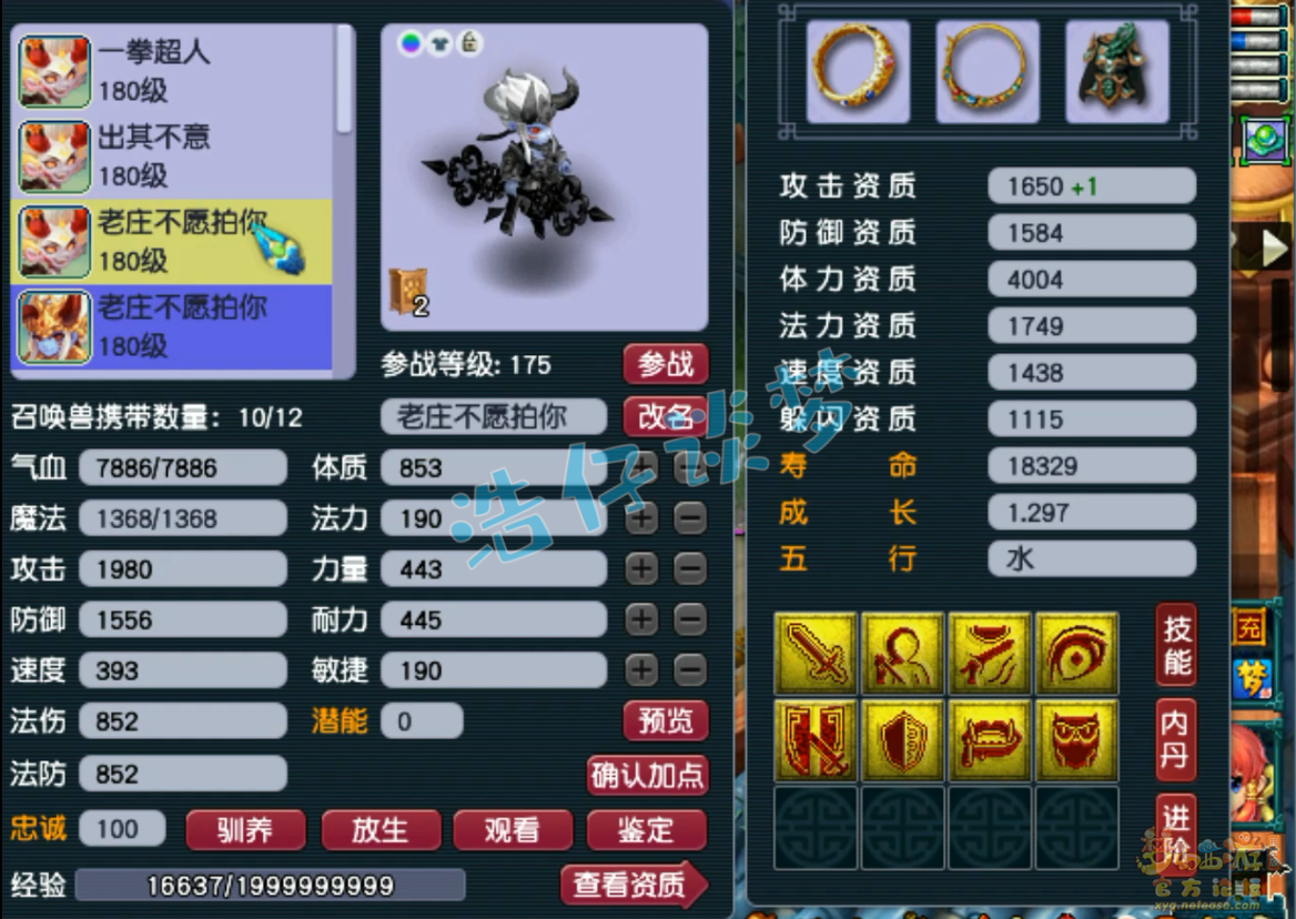 梦幻西游175级咒师普陀山装备展示图