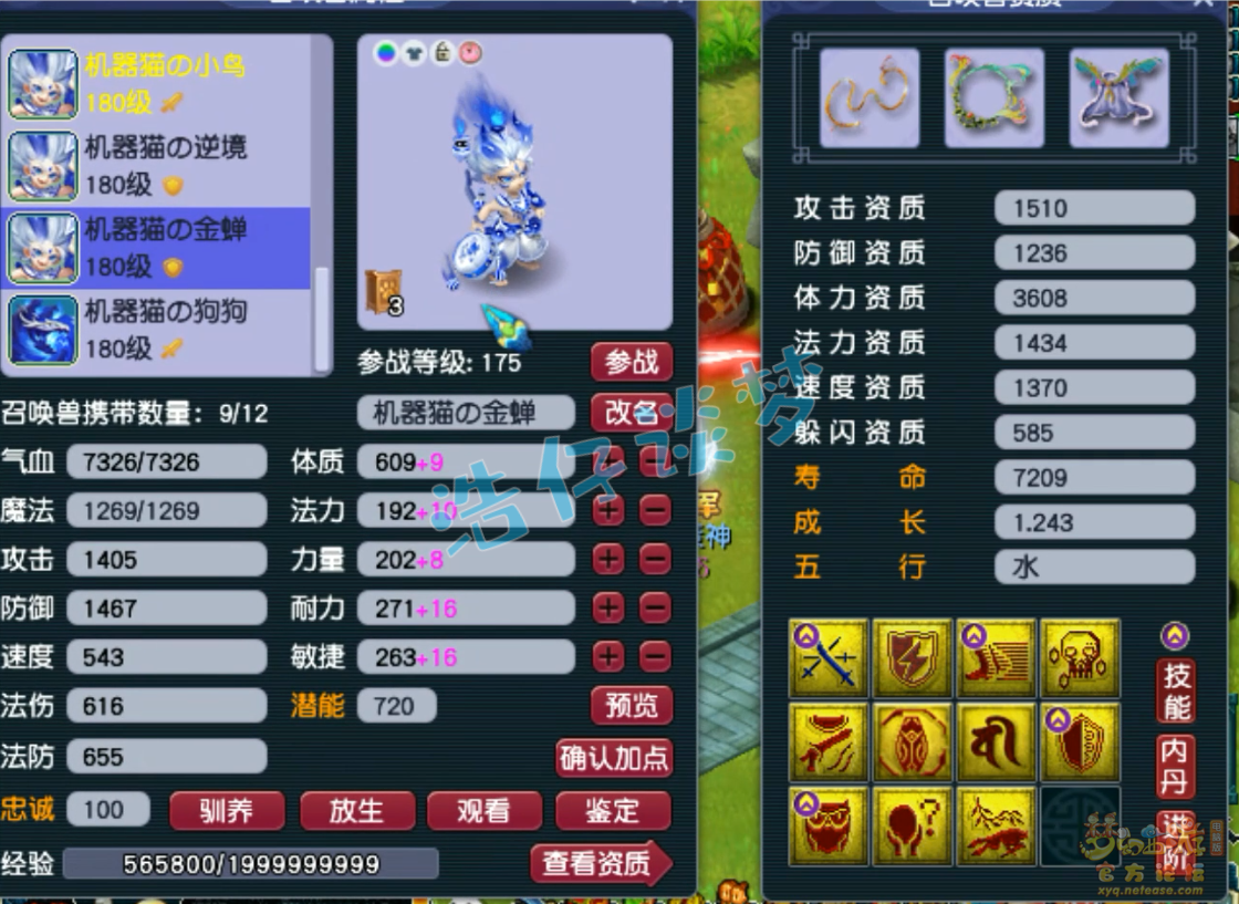 梦幻西游魔王寨装备展示图175级