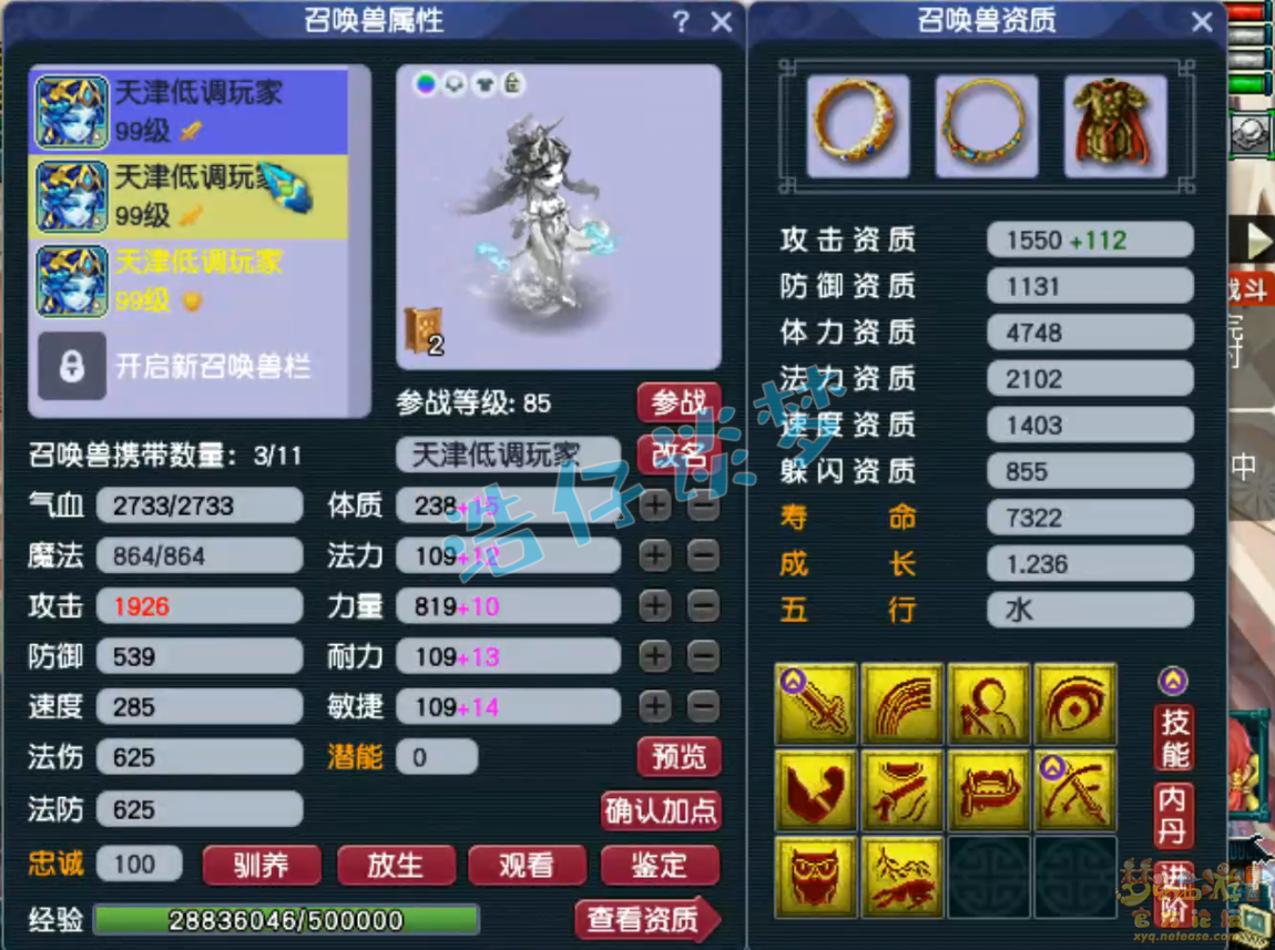 梦幻西游89级神木林装备展示图