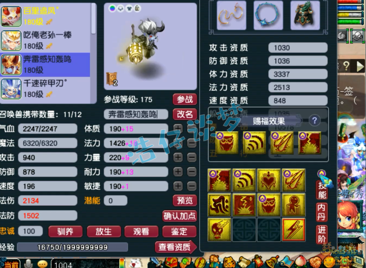 梦幻西游175级凌波城三攻装备展示图