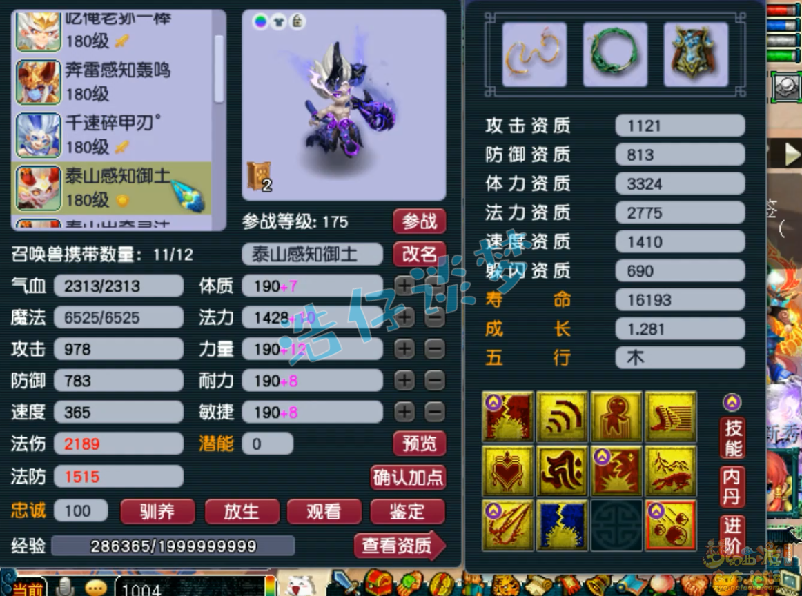 梦幻西游175级凌波城三攻装备展示图