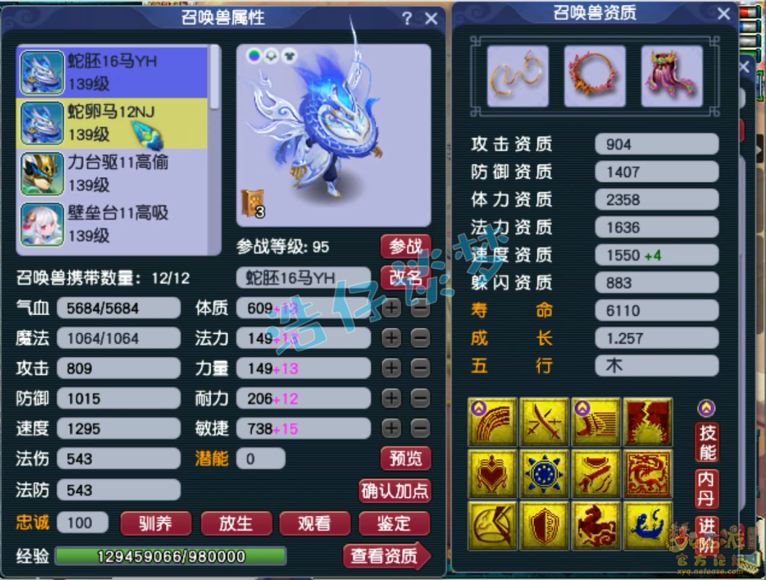 梦幻西游129级神木木装备展示图