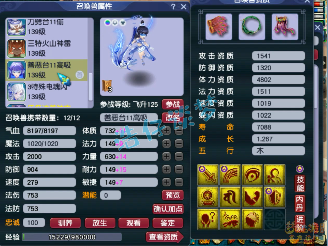 梦幻西游129级神木木装备展示图