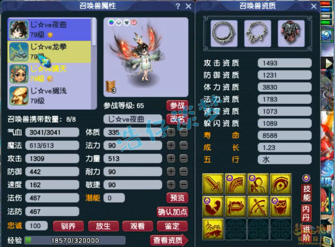 梦幻西游69级天宫装备展示图