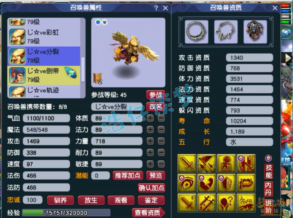 梦幻西游69级天宫装备展示图