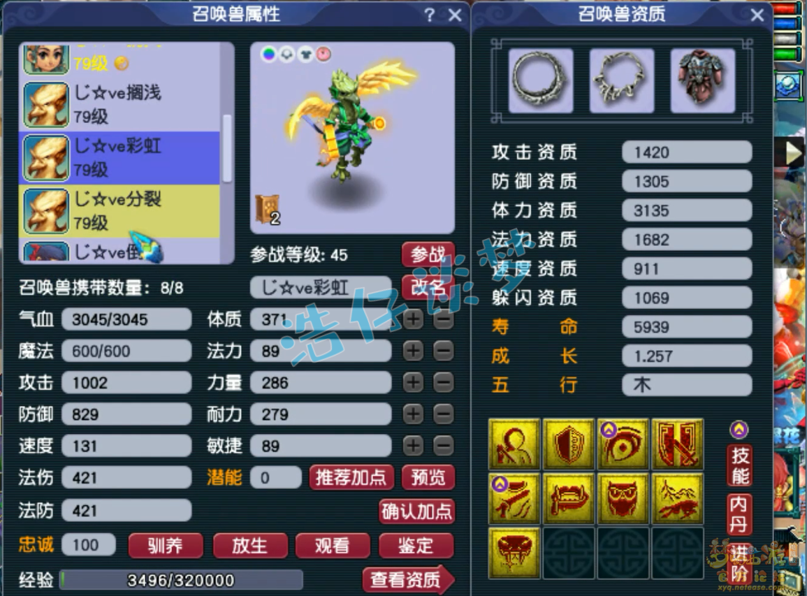 梦幻西游69级天宫装备展示图