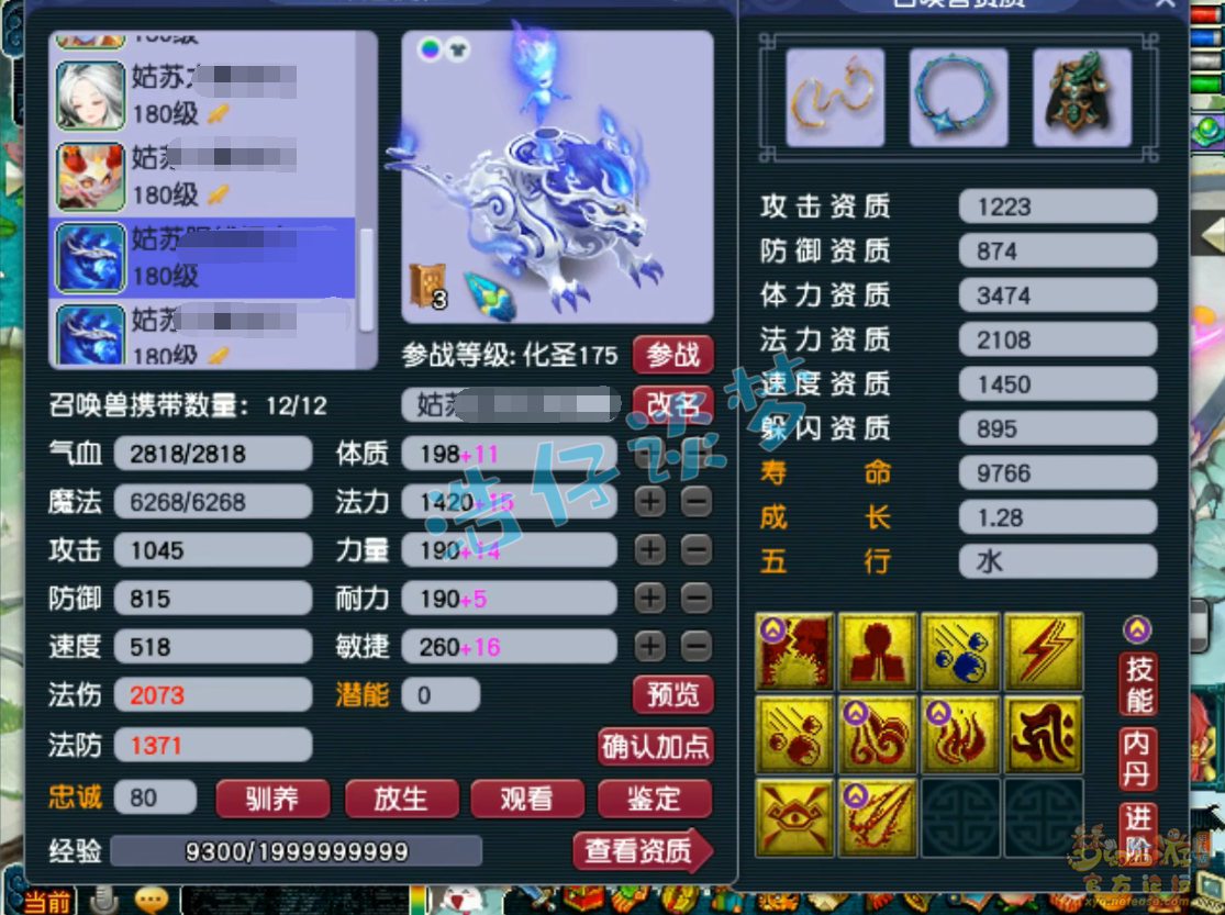 梦幻西游五庄观服战175级装备展示图