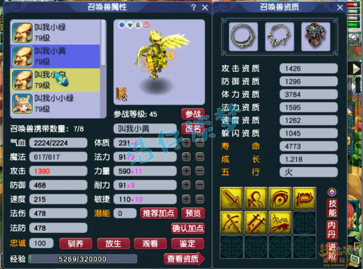 梦幻西游天宫装备展示图69级