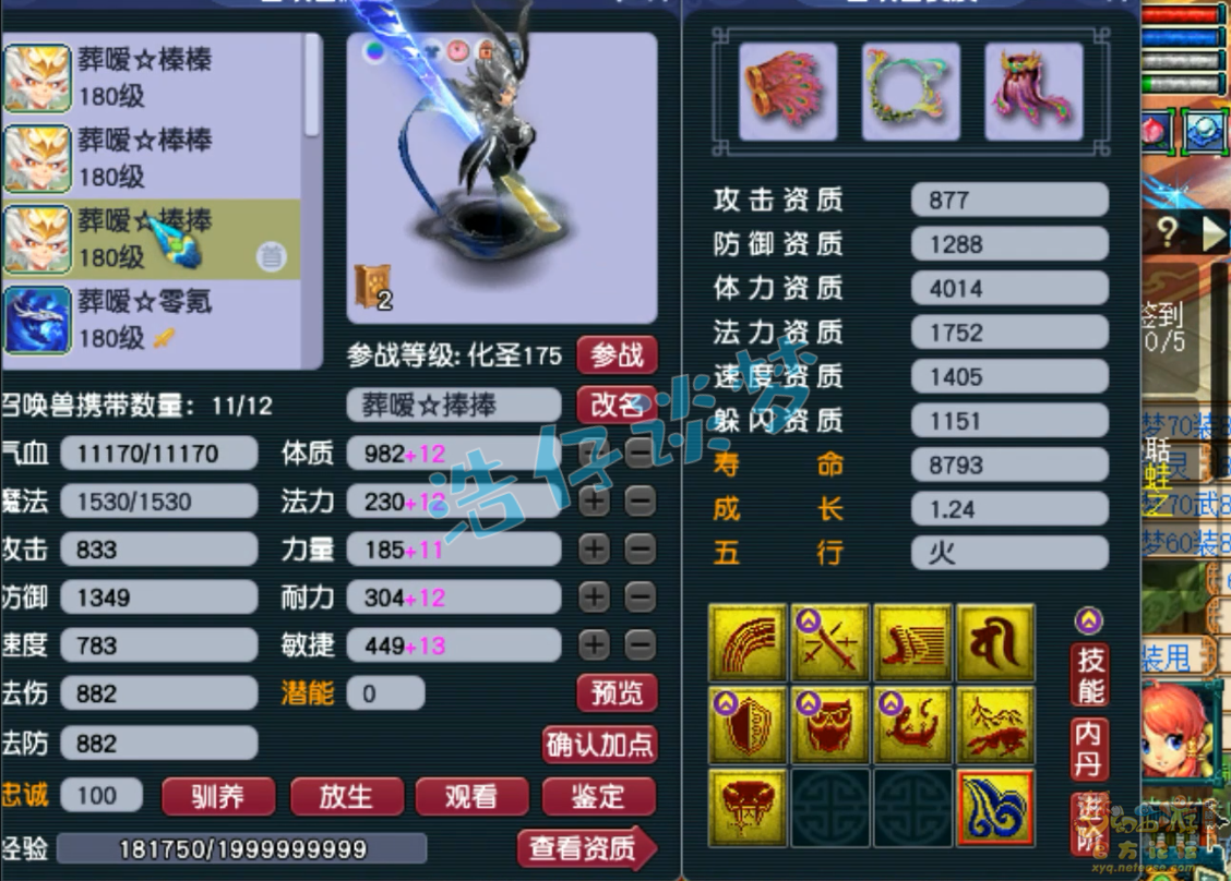 梦幻西游狮驼岭装备展示图175级