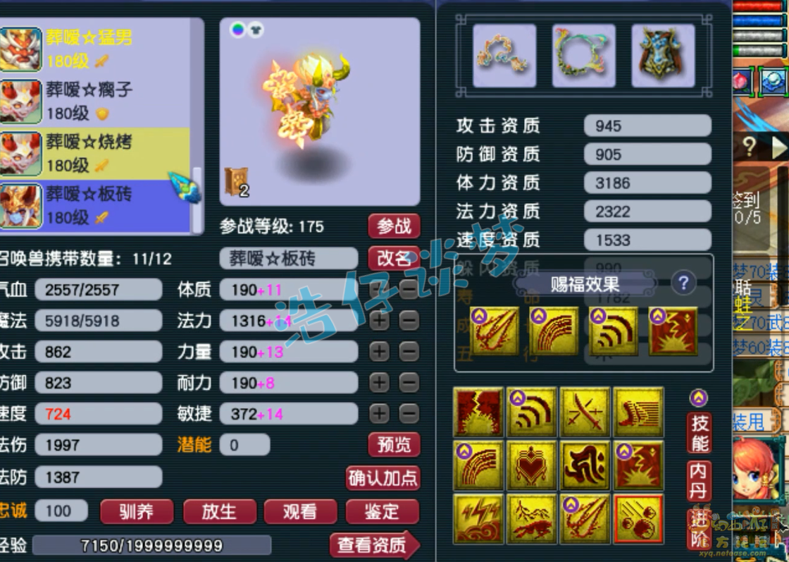 梦幻西游狮驼岭装备展示图175级