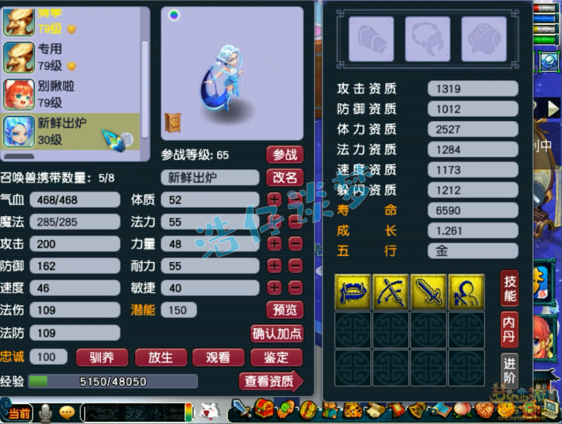 梦幻西游69方寸山装备展示图