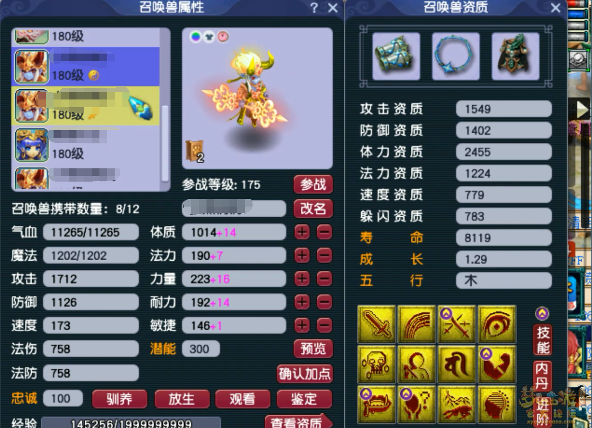 梦幻西游175级服战九黎城装备展示图