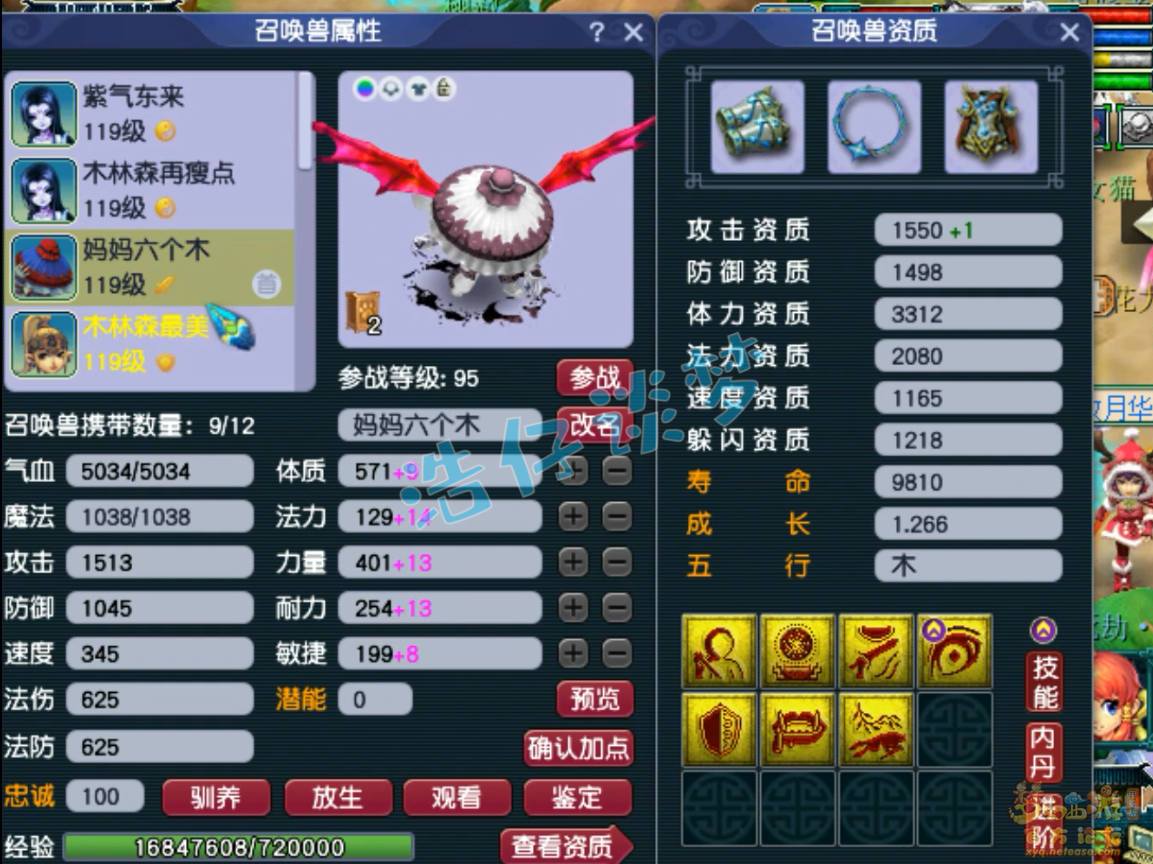 梦幻西游109花果山百套装备展示图