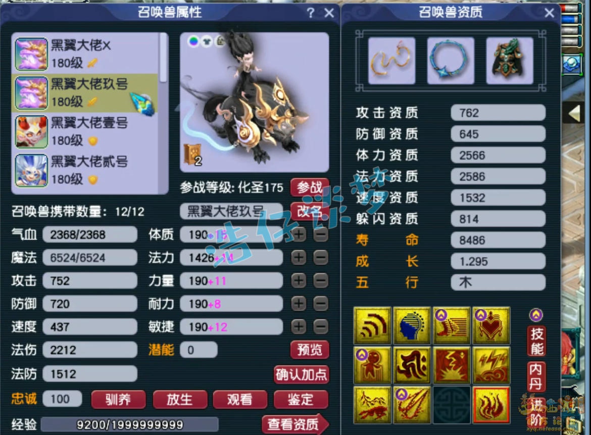 梦幻西游175力普陀装备展示图