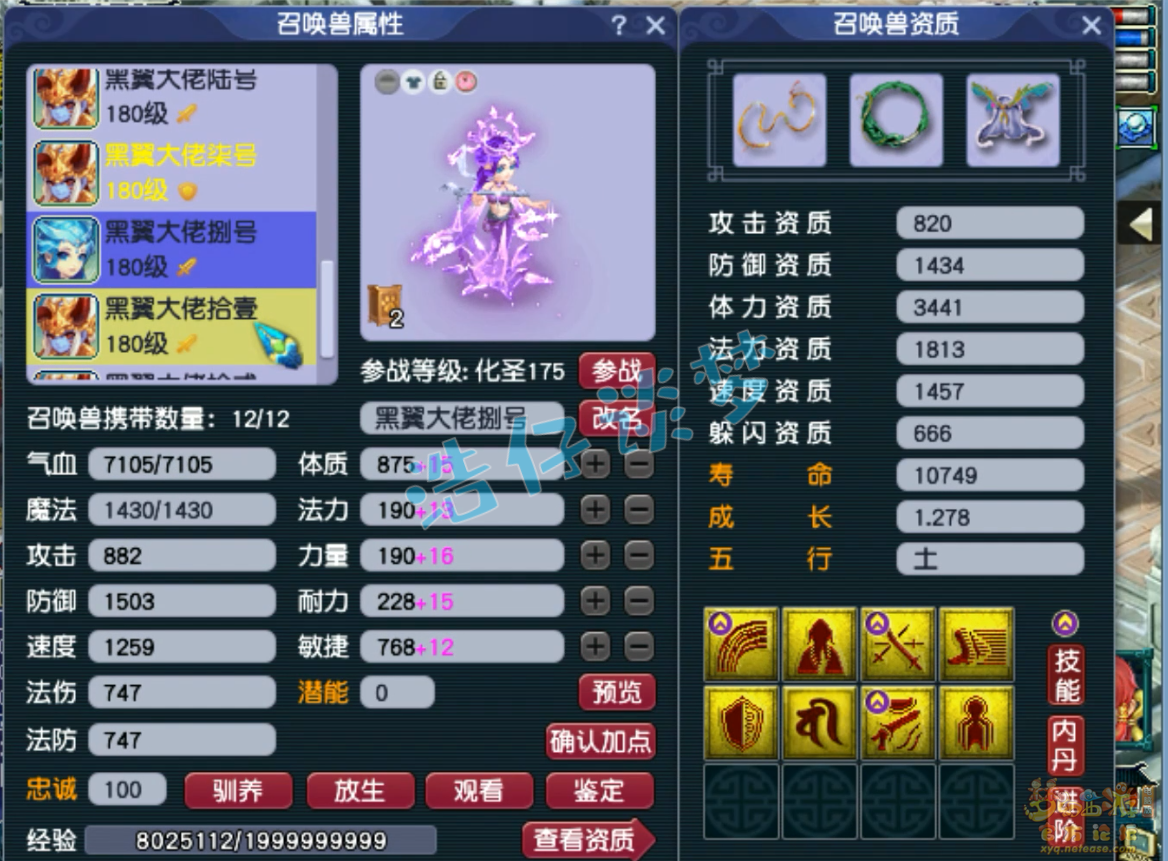 梦幻西游175力普陀装备展示图