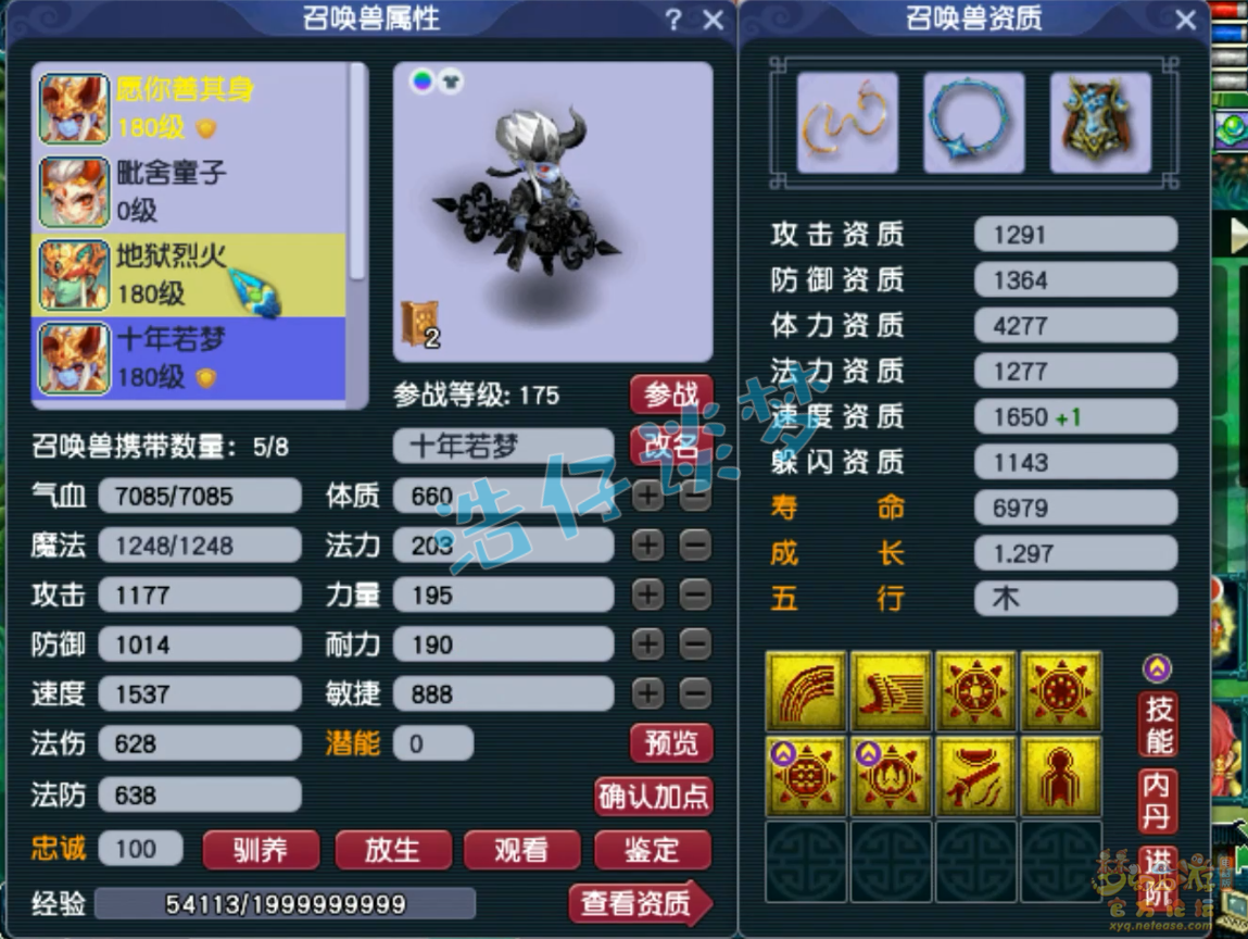 梦幻西游女儿村175装备展示图