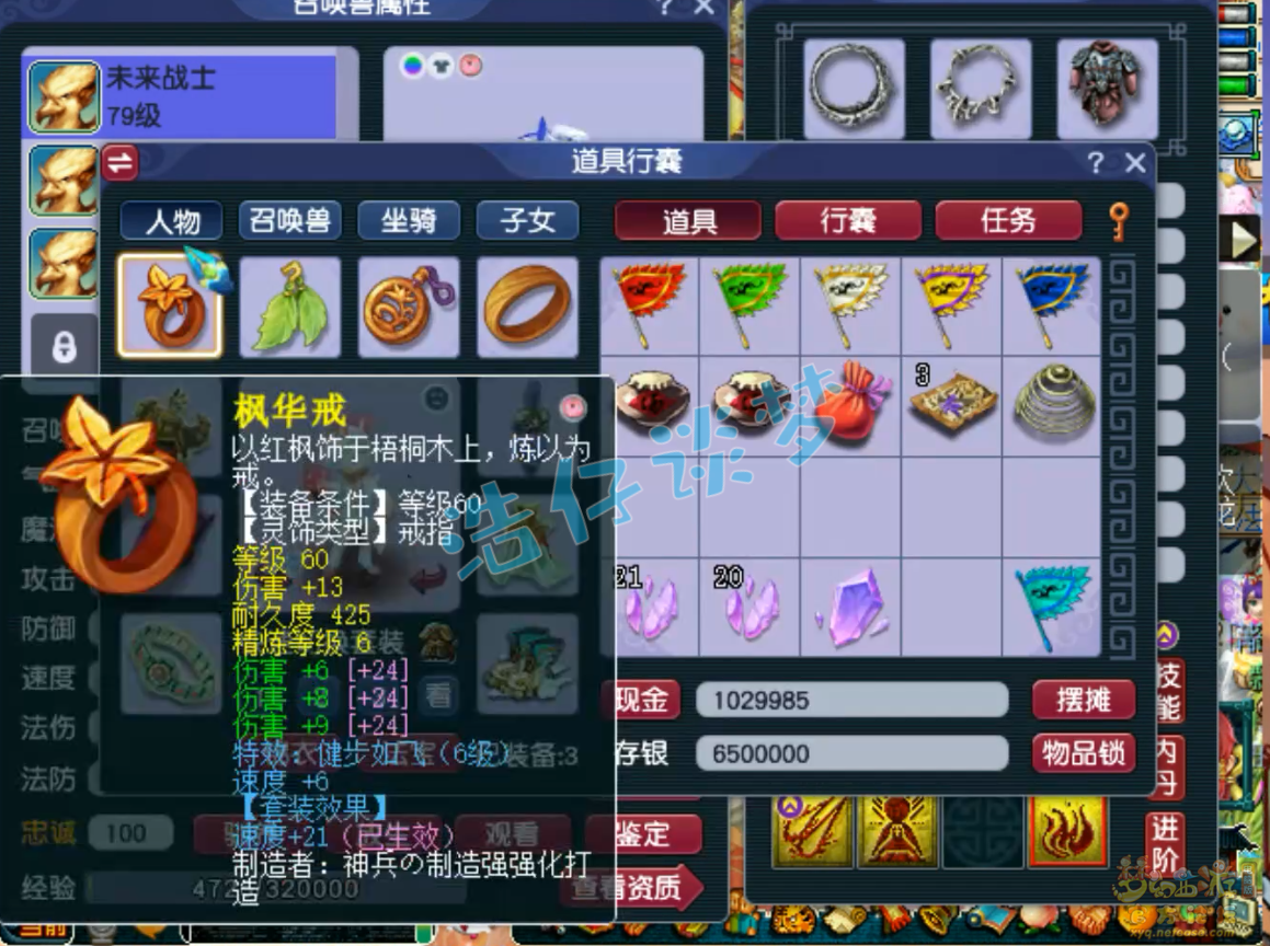 梦幻西游花果山装备69级展示图