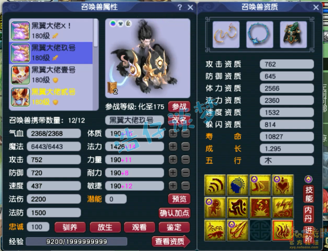 梦幻西游力普陀装备展示图175级