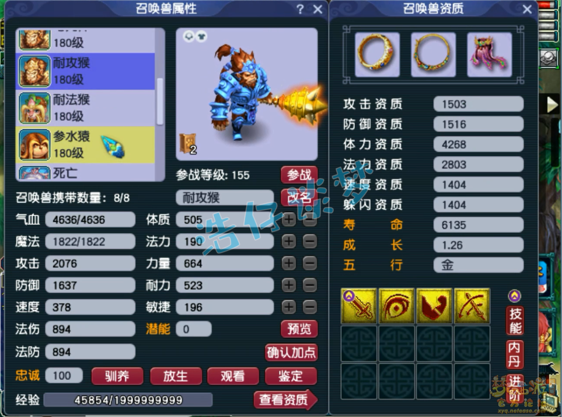 梦幻西游174级花果山装备展示图