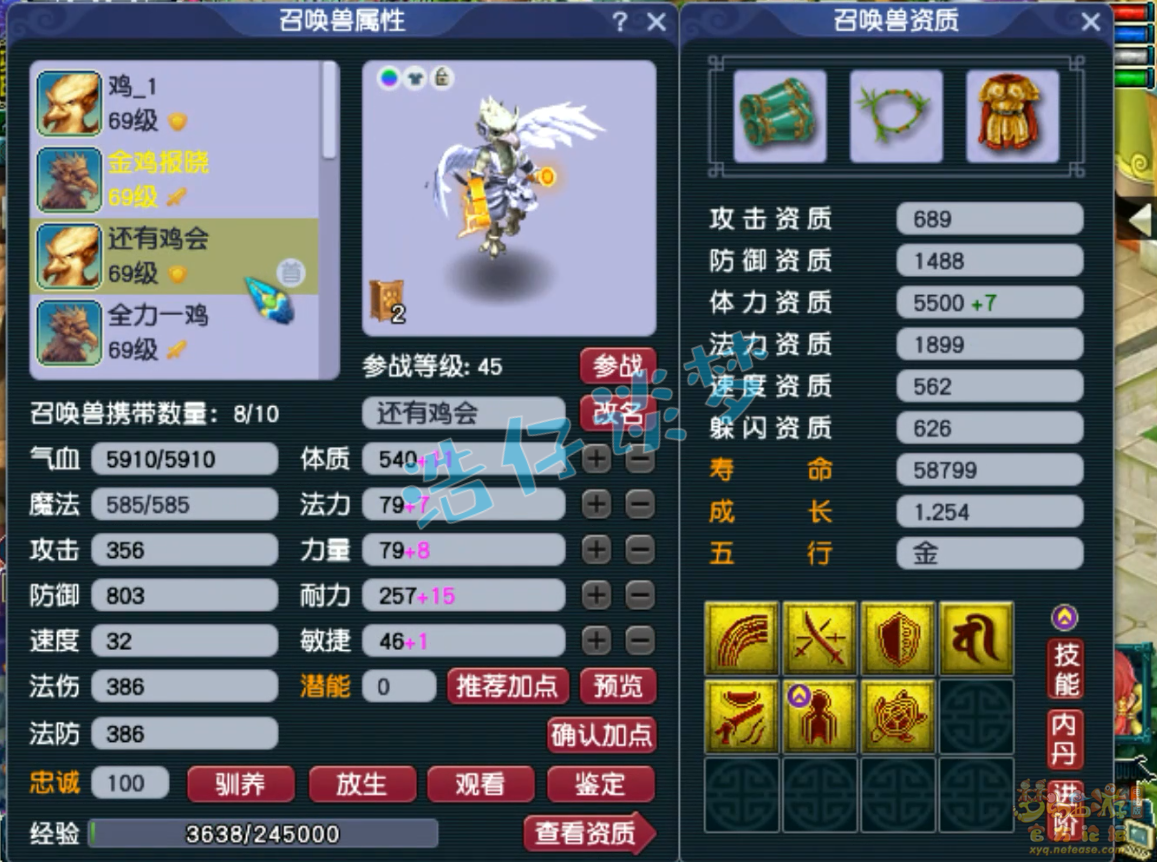 梦幻西游59级天宫装备展示图