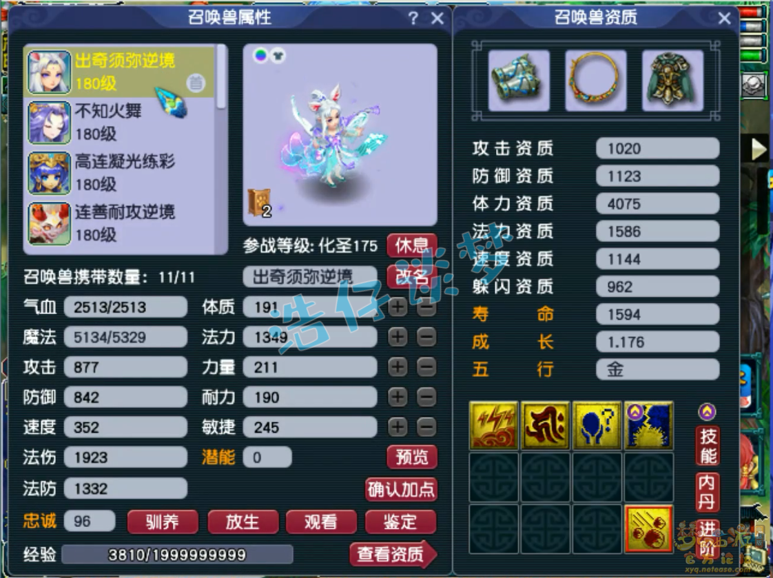 梦幻西游175力化生装备展示图