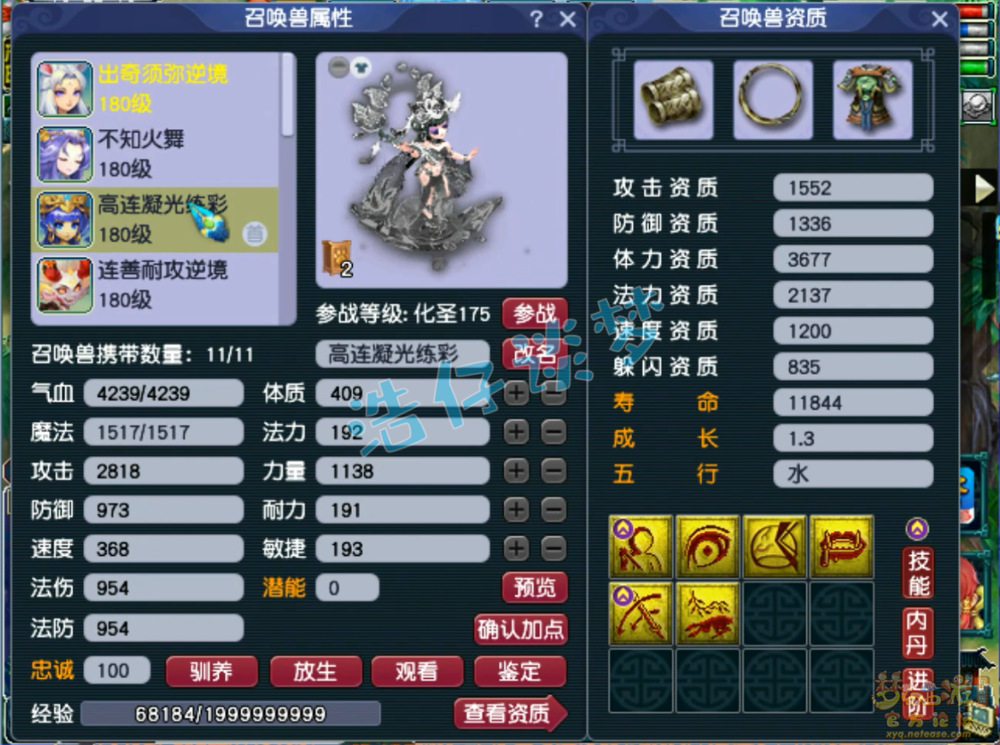 梦幻西游175力化生装备展示图