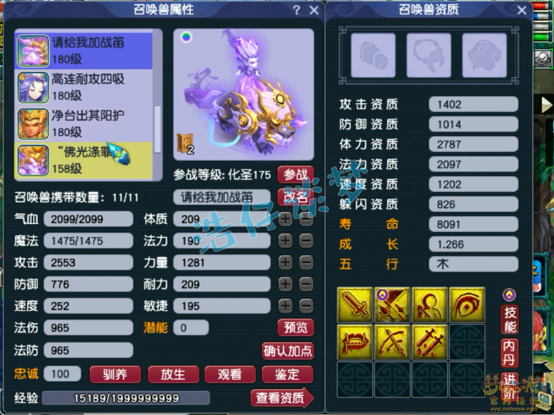 梦幻西游175力化生装备展示图