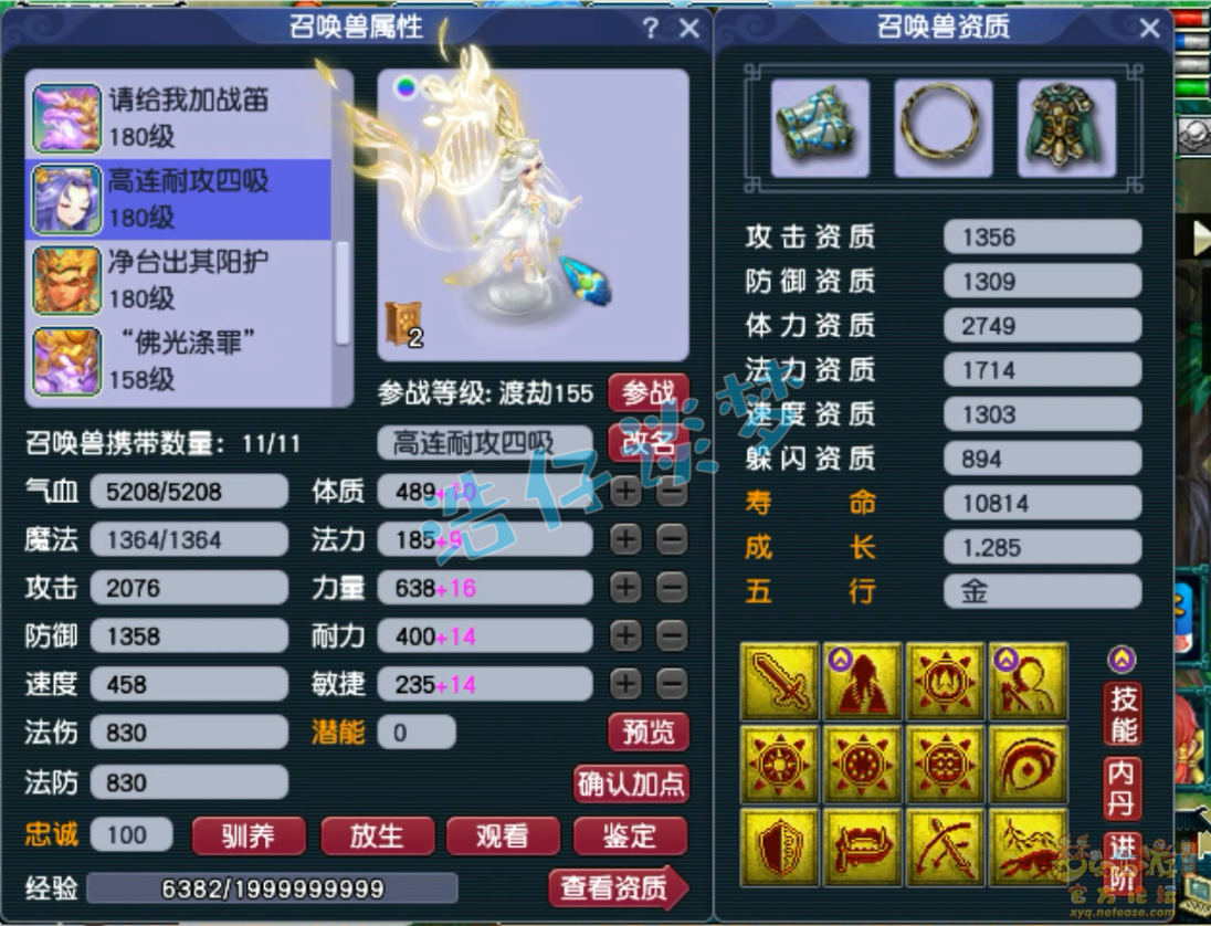 梦幻西游175力化生装备展示图