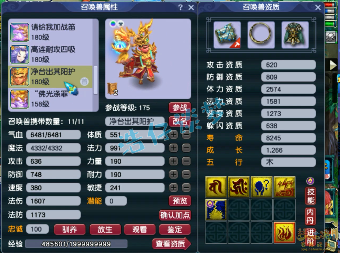 梦幻西游175力化生装备展示图