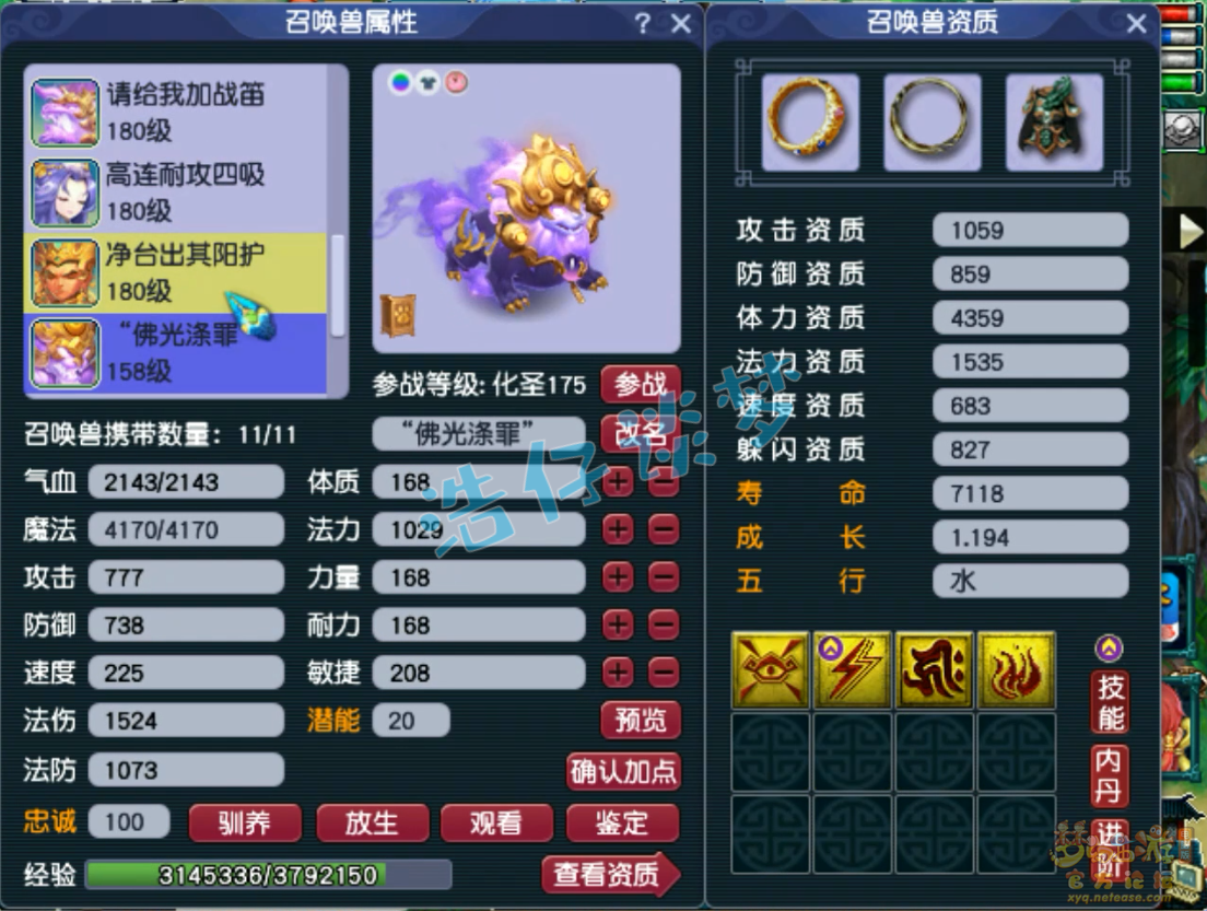 梦幻西游175力化生装备展示图