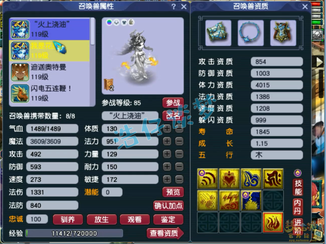 梦幻西游109力化生装备展示图