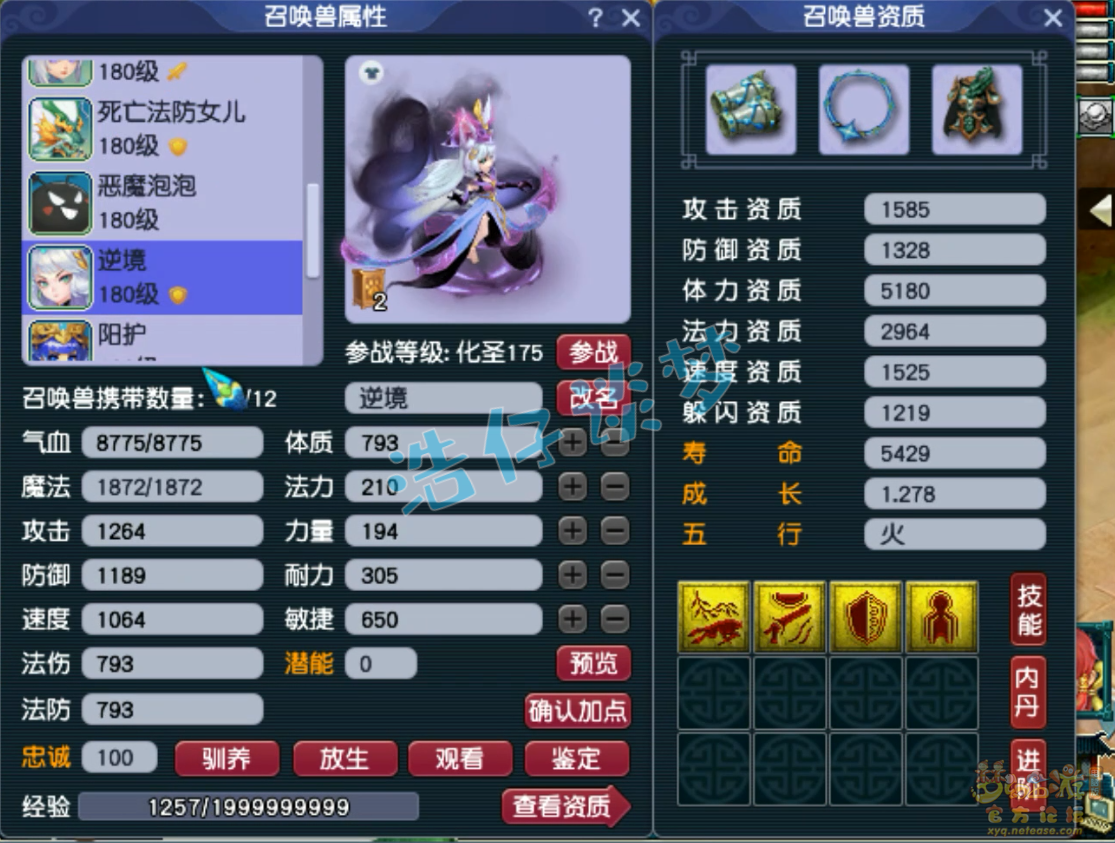 梦幻西游力五庄装备175级展示图