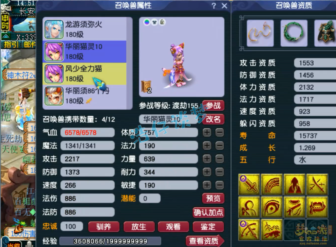 梦幻西游175服战九黎城装备展示图