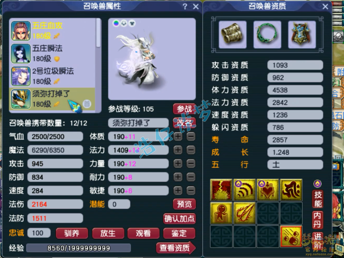 梦幻西游五庄观装备展示图175级