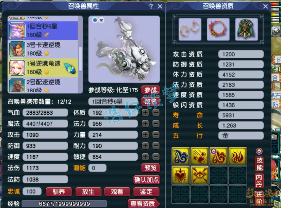 梦幻西游175五开化生寺装备展示图