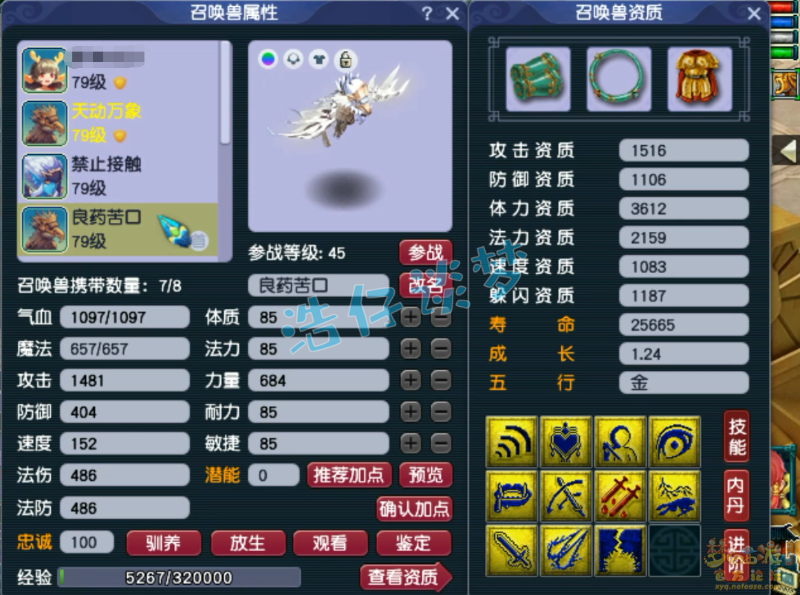 梦幻西游69级普陀山任务装备展示图