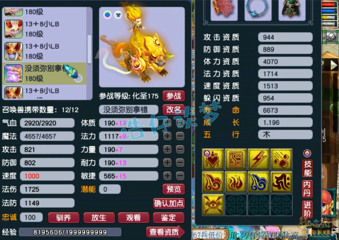 梦幻西游175级服战凌波城装备展示图