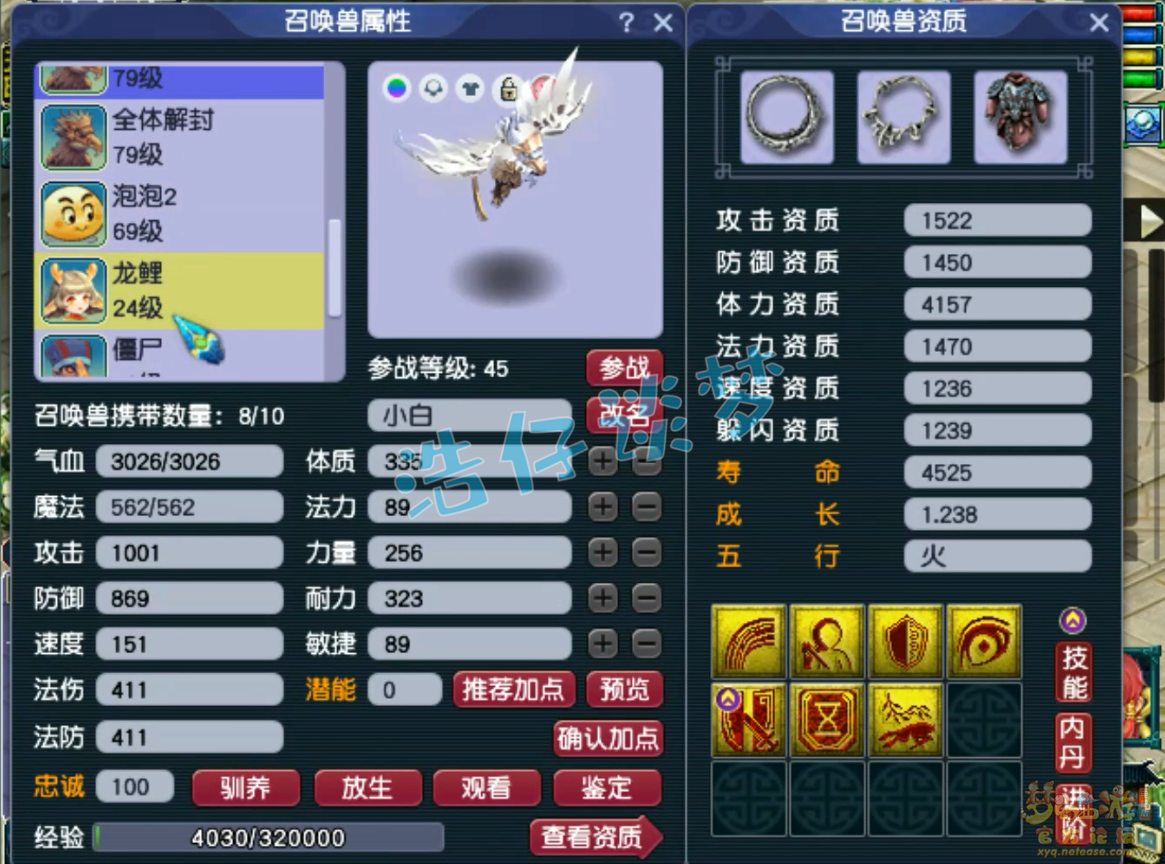 梦幻西游69级天宫任务装备展示图