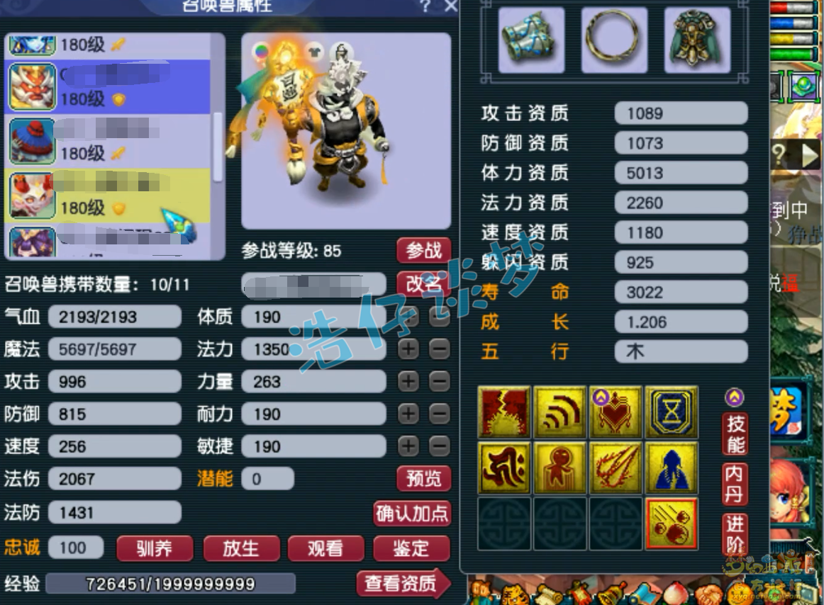 梦幻西游三攻175地府装备展示图