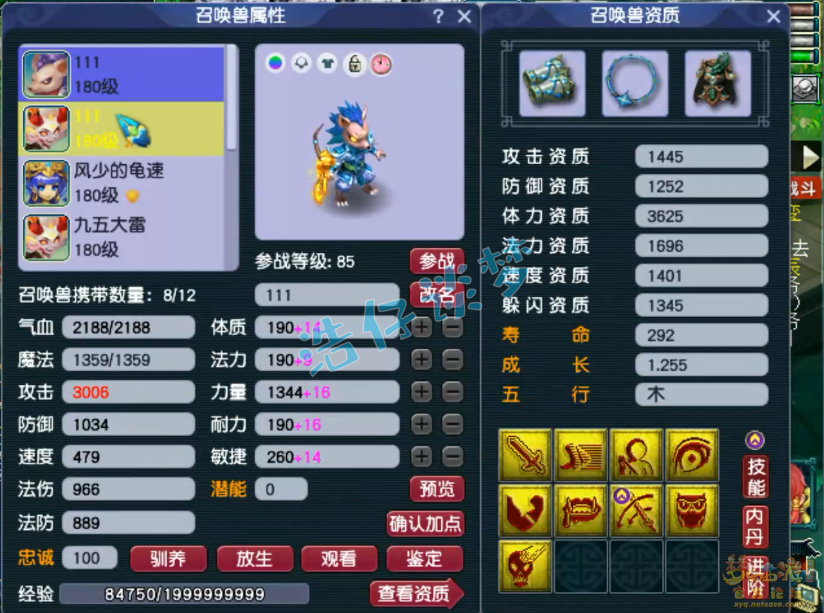 梦幻西游三攻175狮驼岭装备展示图