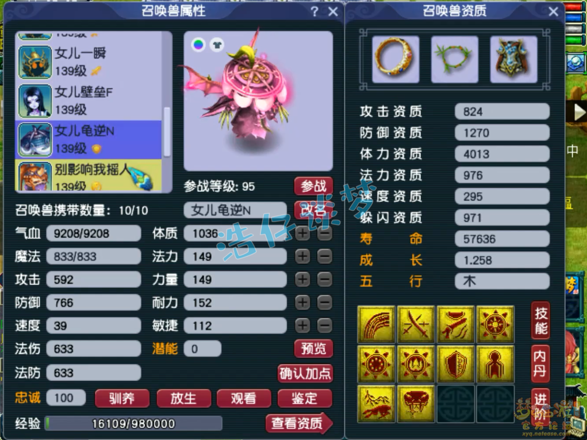 梦幻西游129级竞速女儿村装备展示图