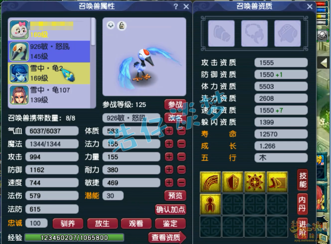 梦幻西游155级骷髅五庄装备展示图