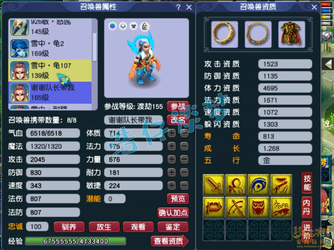 梦幻西游155级骷髅五庄装备展示图