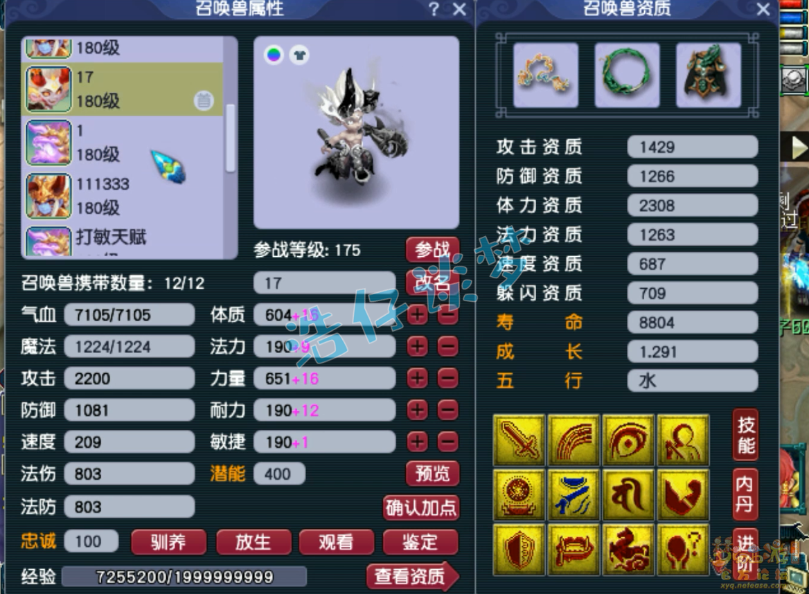 梦幻西游服战神木林175级装备展示图