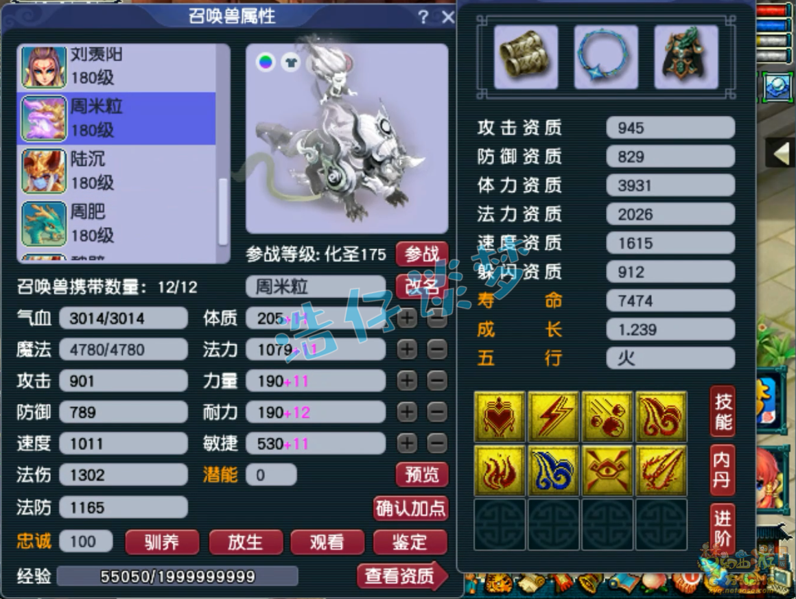 梦幻西游175级单挑封方寸装备展示图