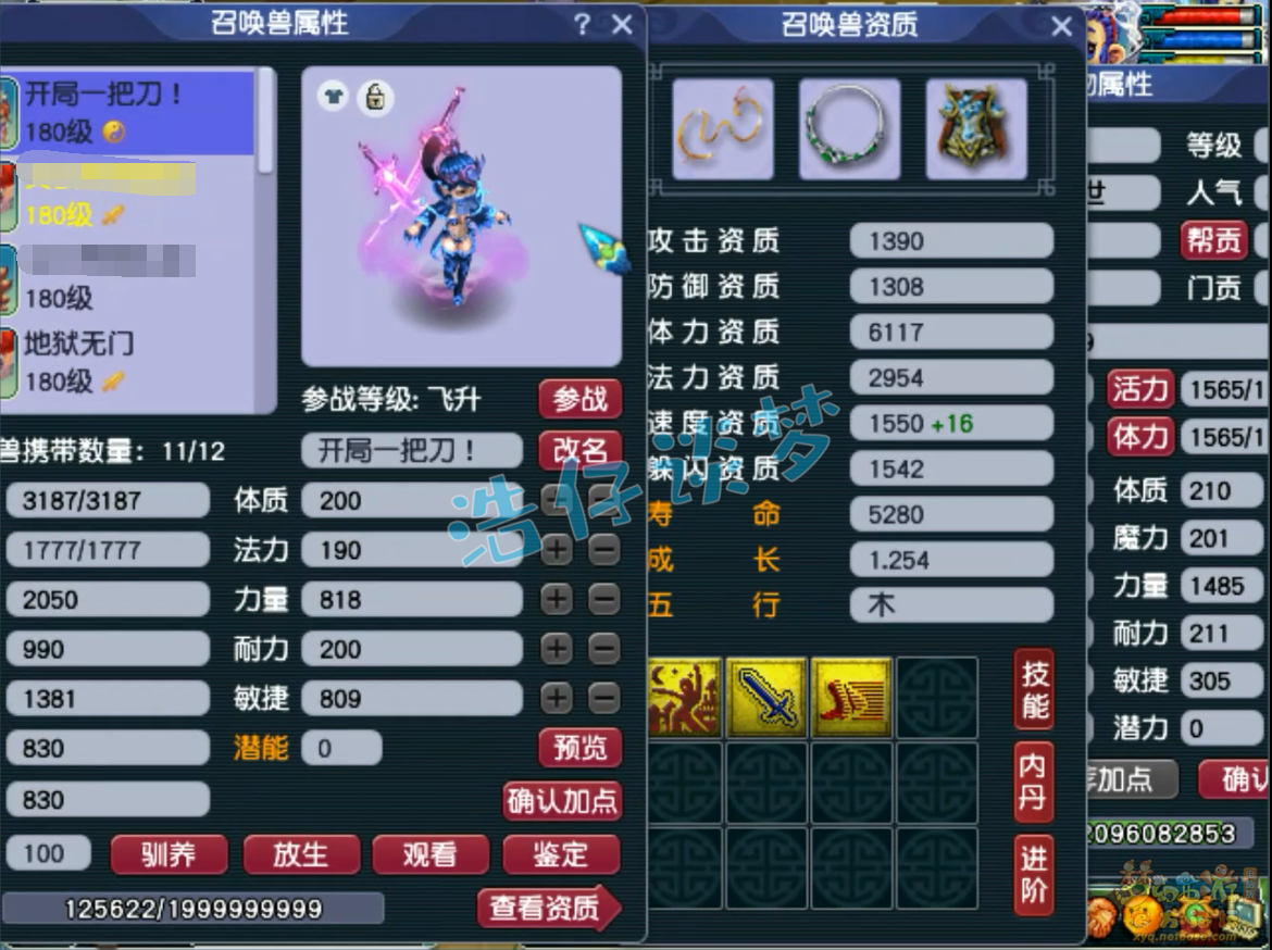 梦幻西游凌波城175三攻装备展示图