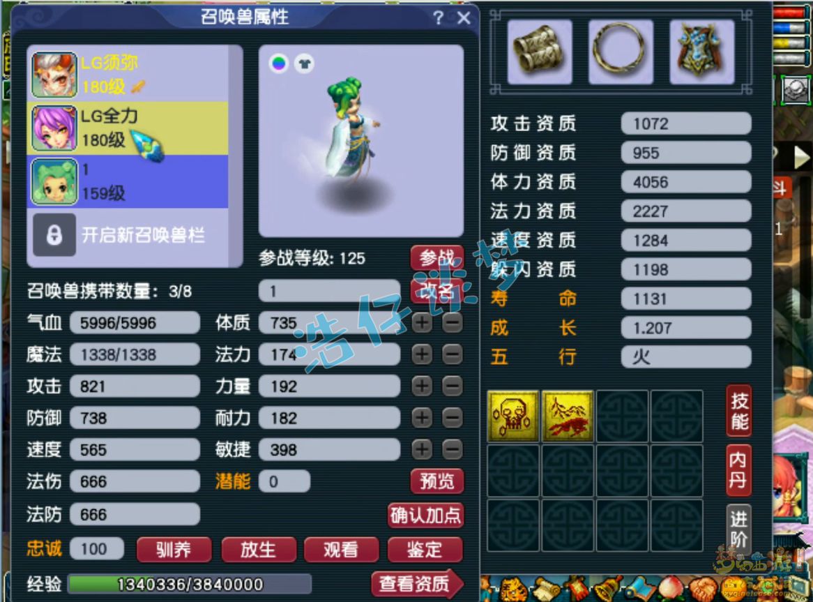 梦幻西游175级竞速神木林装备展示图